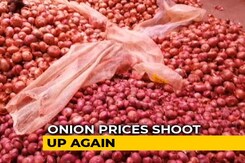 Delhi Government Steps In As Onion Becomes Pricier Than Apple Delhi Government Steps In As Onion Becomes Pricier Than Apple