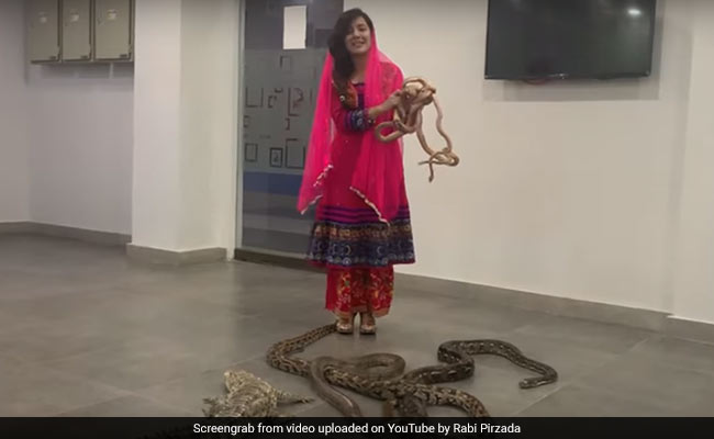 Pak Singer Threatens PM Modi With Reptiles, Crocodiles; Fined