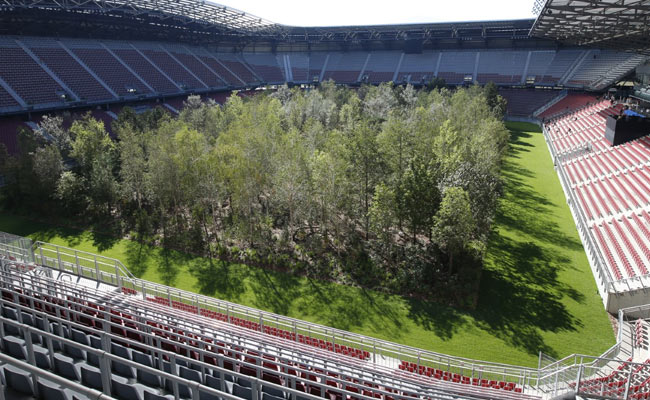 Why A Football Stadium Was Turned Into A Forest