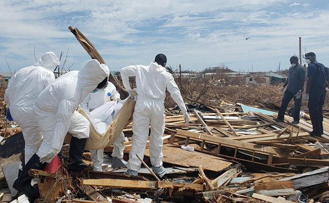 With Dogs And Spray Paint, Grim Search For Those Dead In Hurricane Dorian