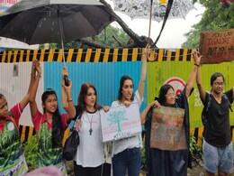 Aarey Activists In Mumbai Get Temporary Court Relief Aarey Activists In Mumbai Get Temporary Court Relief