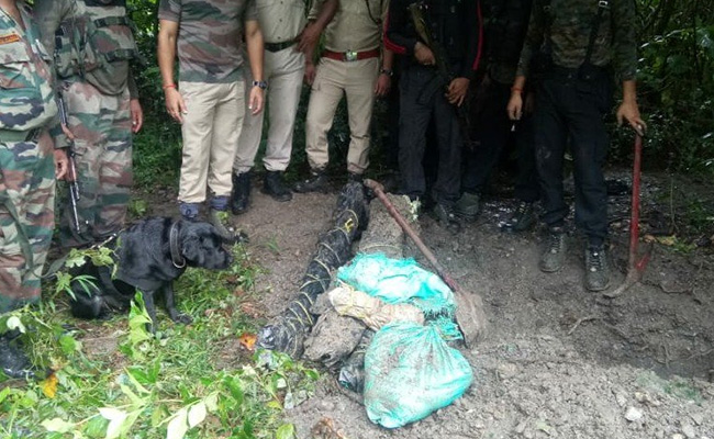 Army Dog Staves Off Possible Terror Strike In Assam