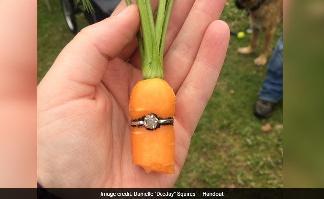 Man Proposes Girlfriend By Planting Carrot Inside A Diamond Ring