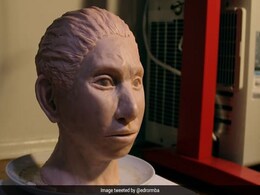 मानव की एक लाख साल पहले की विलुप्त प्रजाति को मिला चेहरा, वैज्ञानिकों ने उनके DNA से दिया ये रूप मानव की एक लाख साल पहले की विलुप्त प्रजाति को मिला चेहरा, वैज्ञानिकों ने उनके DNA से दिया ये रूप