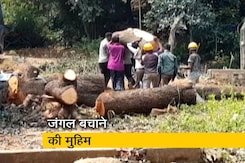 मुंबई में आरे के जंगल बचाने के लिए बियर ग्रिल्स से लगाई गुहार मुंबई में आरे के जंगल बचाने के लिए बियर ग्रिल्स से लगाई गुहार