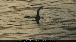 Loch Ness Monster "Seen" In Scotland Waters, First Sighting In 2025