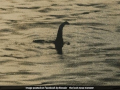 Loch Ness Monster "Seen" In Scotland Waters, First Sighting In 2025