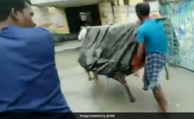 कब मिलेंगी सुविधाएं? 5 KM दूर से चारपाई में लिटाकर लाए गर्भवती महिला को, रास्ते में दिया बच्चे को जन्म