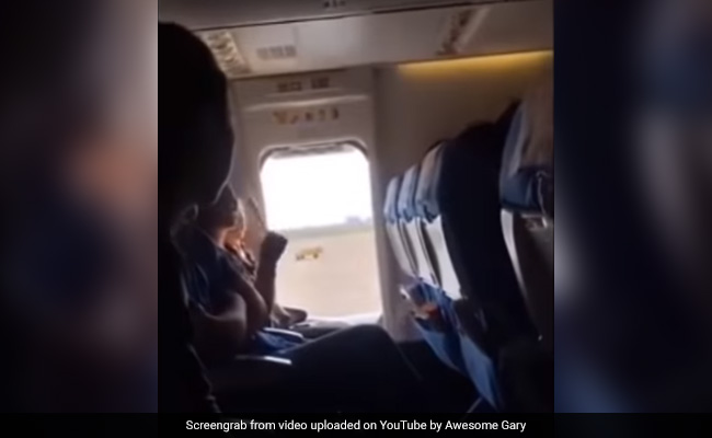 Chinese Woman Opens Plane's Emergency Exit For "Fresh Air", Delays Flight