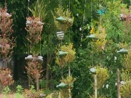 Bengal Forest Officer Creates Garden Using Plastic Bottles, Rubber Tyres Bengal Forest Officer Creates Garden Using Plastic Bottles, Rubber Tyres