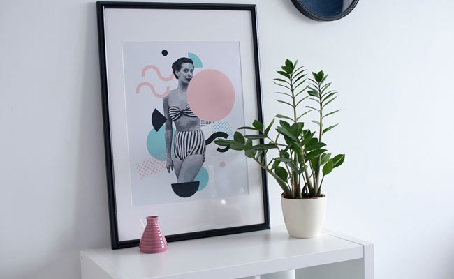 These 7 Low Maintenance House Plants Won't Ask For All Your Attention