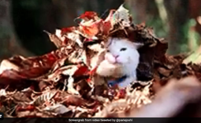 Twitter Celebrates Equinox Day With Funny Posts