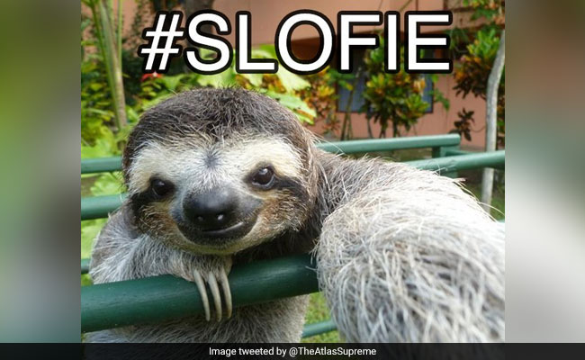 Apple Introduces iPhone 11 'Slofies', Twitter Reacts With Memes And Jokes