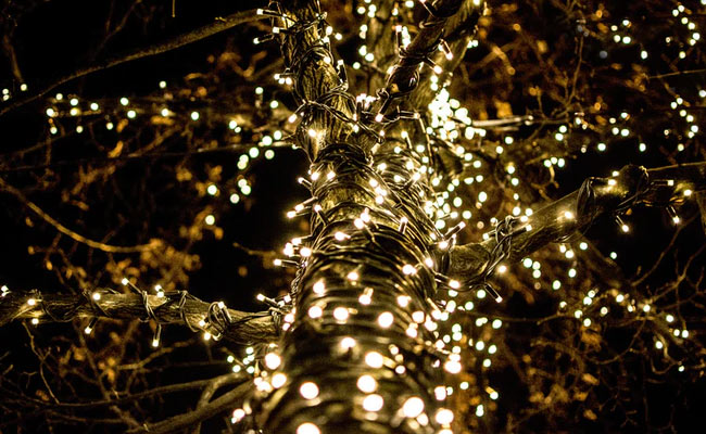 8 Pretty Fairy Lights To Set A Festive Mood At Home