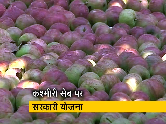 सत्यपाल मलिक ने घोषित किया सेब का समर्थन मूल्य