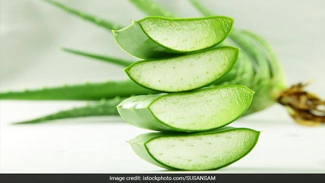 Winter skincare: Aloe vera classic go-to for sunburns and soothing gels for a reason