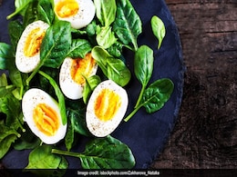 Easy Protein-Rich Breakfast Ideas: मिनटों में बनाएं ये हाई प्रोटीन ब्रेकफास्ट रेसिपी, वजन कम करने में है मददगार Easy Protein-Rich Breakfast Ideas: मिनटों में बनाएं ये हाई प्रोटीन ब्रेकफास्ट रेसिपी, वजन कम करने में है मददगार