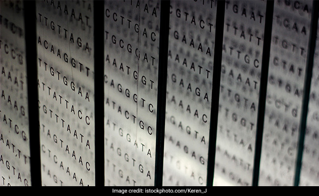 Bioinformatics As A Career Option