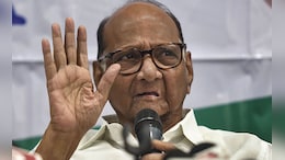 Opinion | Is Sharad Pawar Planning To Merge NCP With NDA? Behind The Ongoing Calculations