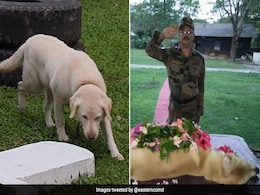 "Real Hero In Service To Nation": Army Dog 'Dutch' Dies At 9 "Real Hero In Service To Nation": Army Dog 'Dutch' Dies At 9
