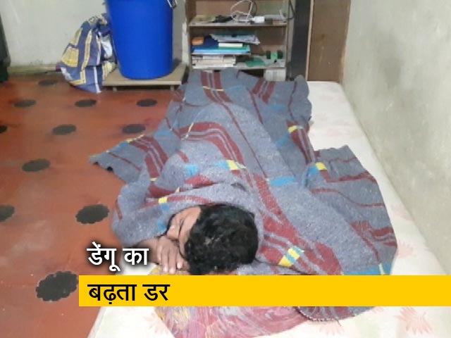 तेलंगाना में इस साल डेंगू से 50 की मौत