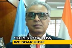 "We Will Soar High When Pak Stoops Low At UN General Assembly": India "We Will Soar High When Pak Stoops Low At UN General Assembly": India