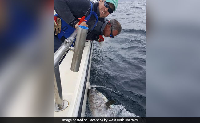 Man Caught Giant Tuna Worth 3 Million Euros. Why He Put It Back