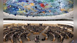 Opinion | The Quiet Majority For Human Rights