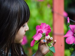 Daughter's Day: बेटी दिवस को कुछ इस तरह करिए सेलिब्रेट Daughter's Day: बेटी दिवस को कुछ इस तरह करिए सेलिब्रेट