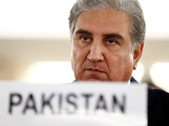 When Will Afghan Government Be Formed? Pakistan Foreign Minister Says...