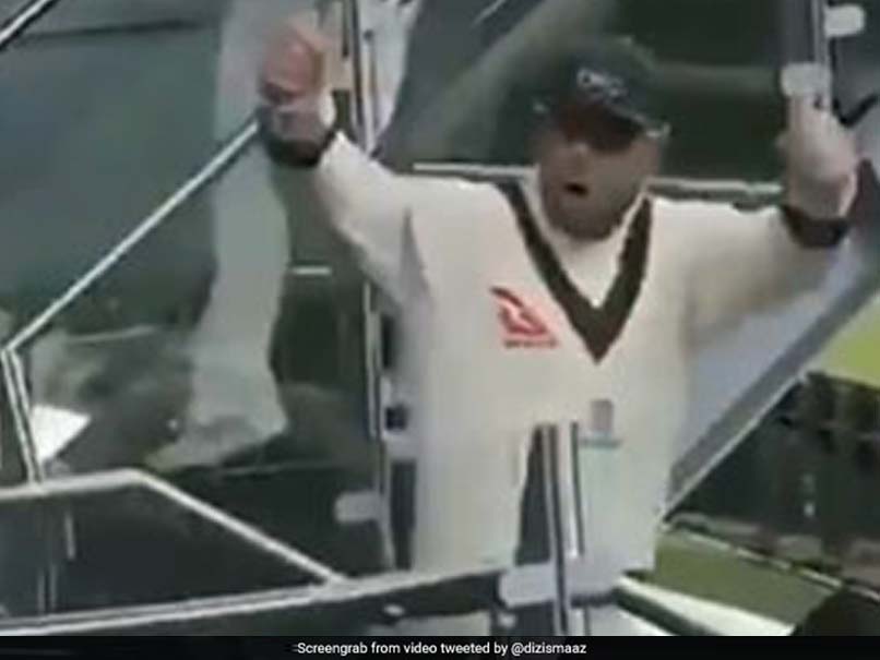 डेविड वार्नर को जब दर्शक ने कहे आपत्तिजनक शब्द, तो ऐसा रहा उनका रिएक्शन, देखें VIDEO