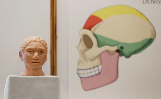 DNA From 70,000-Year-Old Pinky Bone Used To Reconstruct Elusive Skeleton