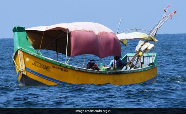 Sea Turns Dark Green After Algae Found In Rameshwaram Island Town