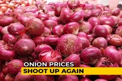 Delhi Government To Supply Onions At Rs 24 Per Kg, Says Arvind Kejriwal Delhi Government To Supply Onions At Rs 24 Per Kg, Says Arvind Kejriwal