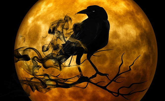 Friday The 13th: Spooky Posts Flood Twitter On 'Day Of Bad Luck'