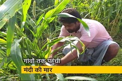 पंजाब में मंदी से परेशान किसान और मजदूर वर्ग पंजाब में मंदी से परेशान किसान और मजदूर वर्ग