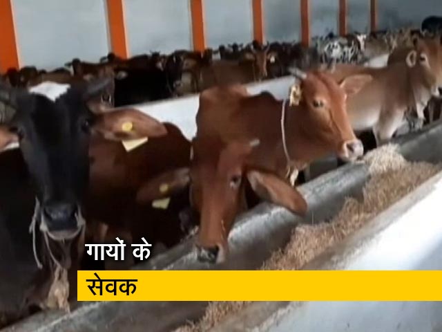 मध्य प्रदेश के खंडवा में हिंदू-मुस्लिम मिलकर बना रहे हैं गायों का अस्पताल