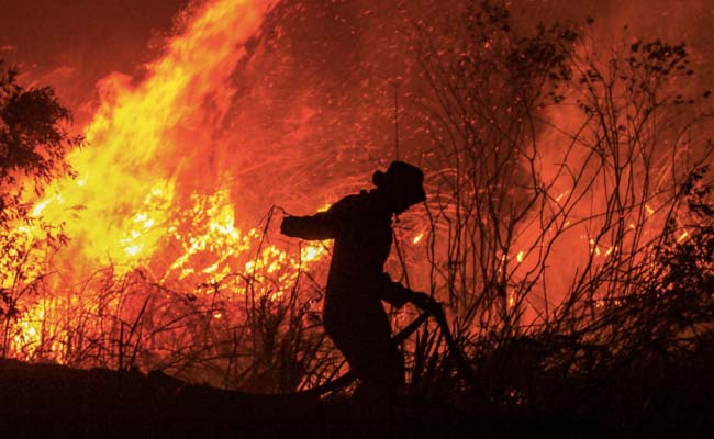 11 Killed In Algerian Orphanage Fire Amid Severe Heatwave