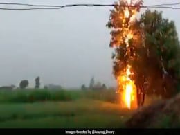 मध्यप्रदेश के पन्ना में पेड़ पर गिरी बिजली, VIDEO हुआ वायरल मध्यप्रदेश के पन्ना में पेड़ पर गिरी बिजली, VIDEO हुआ वायरल