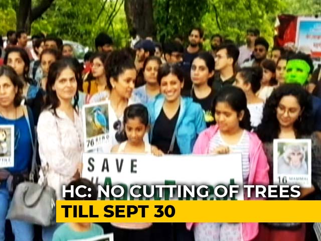 No Trees To Be Cut In Mumbai's Aarey Colony For 15 Days, Court Says Amid Protests