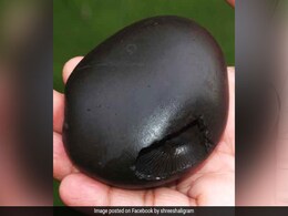 Indira Ekadashi 2019: आज है इंदिरा एकादशी, जानिए शुभ मुहूर्त, पूजा विधि, व्रत कथा और महत्व Indira Ekadashi 2019: आज है इंदिरा एकादशी, जानिए शुभ मुहूर्त, पूजा विधि, व्रत कथा और महत्व