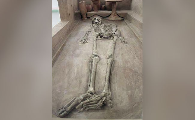 क्या आर्यों ने हमला किया था, कौन हैं यहां के पूर्वज? ऐसे ही 5 सवालों पर प्रोफेसर वसंत शिंदे के दावे