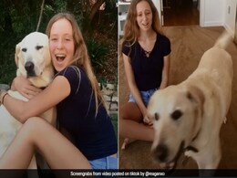 TikTok Users Share Hilarious #ExpectationVsReality Videos TikTok Users Share Hilarious #ExpectationVsReality Videos