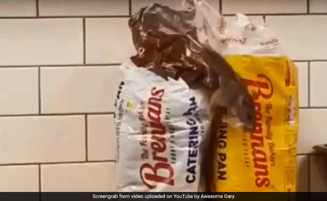 Store Closes After Video Of Rat Crawling Out Of Bread Bag Goes Viral
