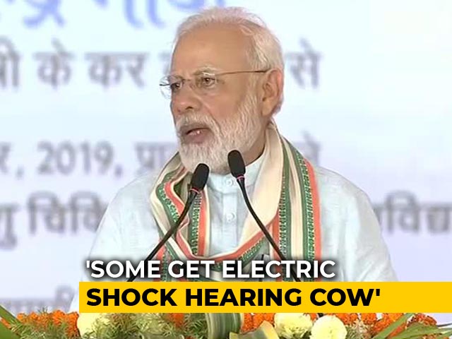 "Word 'Cow' Shocks Many, It's Unfortunate," Says PM
