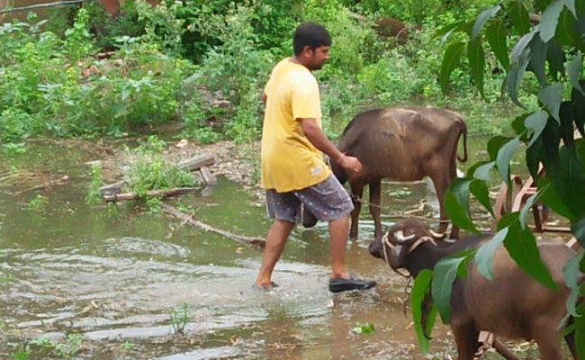 Over 200 Dead Due To Heavy Rains, Floods In Madhya Pradesh
