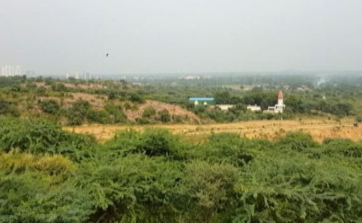 No Study Says Only 9% Aravalli Above 100 Meters: Forest Survey Of India Clarifies