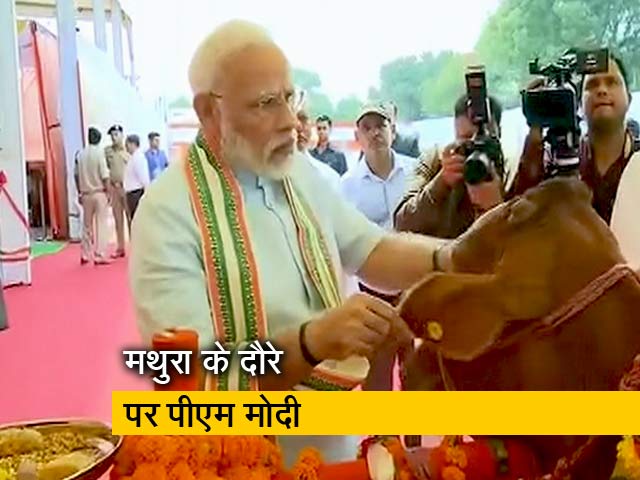आज मथुरा में पशु आरोग्य मेले का उद्घाटन करेंगे प्रधानमंत्री नरेंद्र मोदी