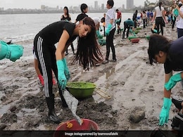 नोरा फतेही Beach किनारे उठा रही थीं कचरा, फोटो देख लोगों ने कह डाली यह बात... नोरा फतेही Beach किनारे उठा रही थीं कचरा, फोटो देख लोगों ने कह डाली यह बात...