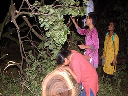 Mumbai's Aarey case: सुप्रीम कोर्ट ने कहा, इलाके का एक या 2 फीसदी भी वन क्षेत्र  में आता है तो पेड़ नहीं काटे जा सकते हैं, 5 बड़ी बातें Mumbai's Aarey case: सुप्रीम कोर्ट ने कहा, इलाके का एक या 2 फीसदी भी वन क्षेत्र  में आता है तो पेड़ नहीं काटे जा सकते हैं, 5 बड़ी बातें